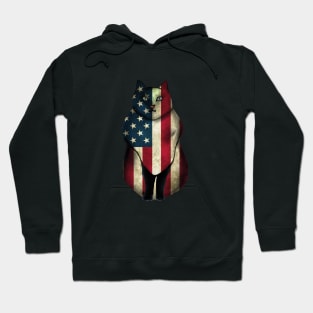 American Flag Cat Hoodie